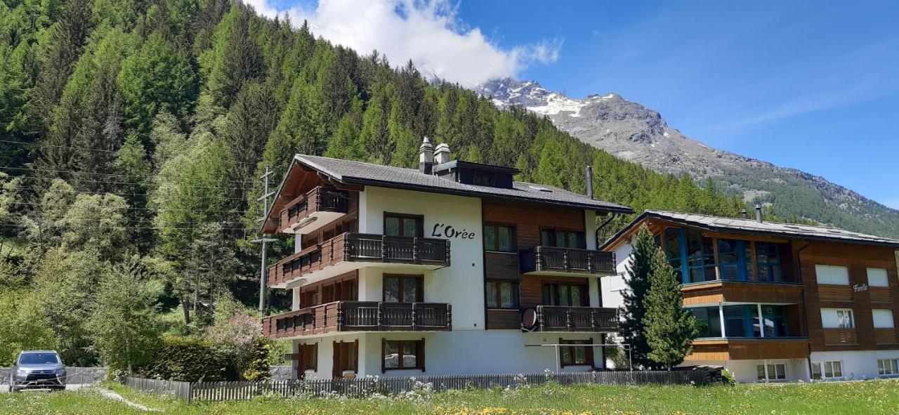 Free Cable Car & Bus In The Summer Haus L'Oree Saas-Grund Exterior foto
